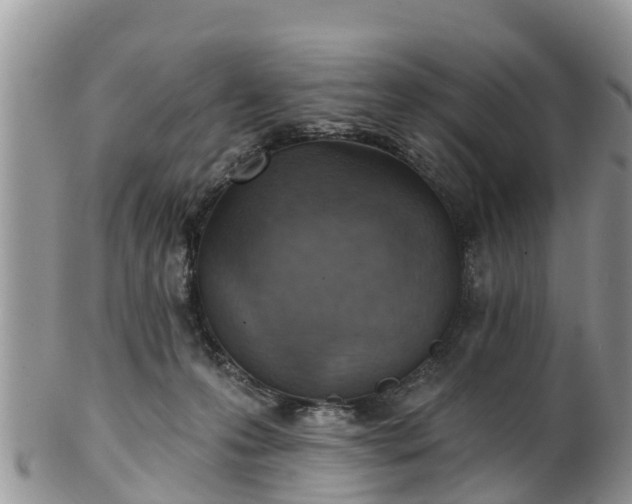 X0000102280223200808011457