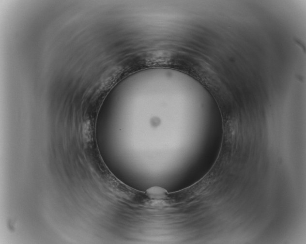 X0000102280224200808011457