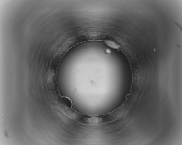 X0000102280225200808011457