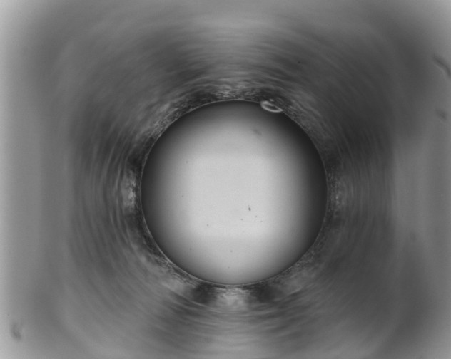 X0000102280226200808011457