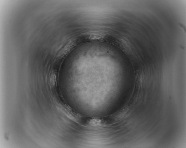 X0000102280227200808011457