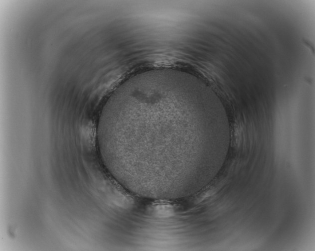 X0000102280228200808011457