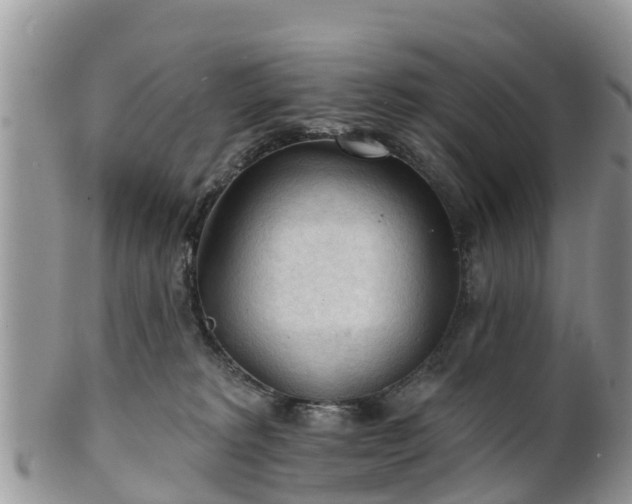 X0000102280229200808011457