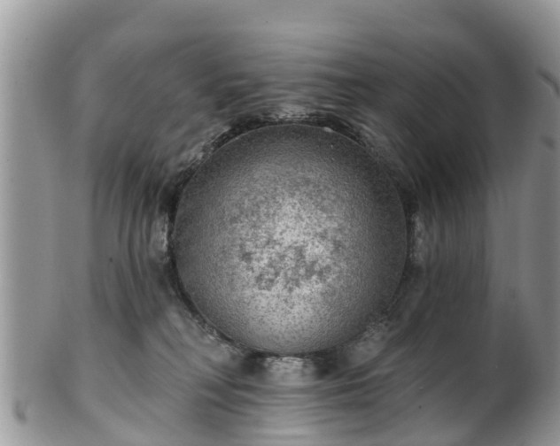 X0000102280230200808011457