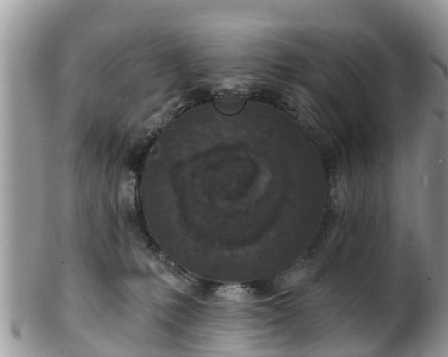 X0000102280231200808011457