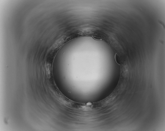 X0000102280232200808011457