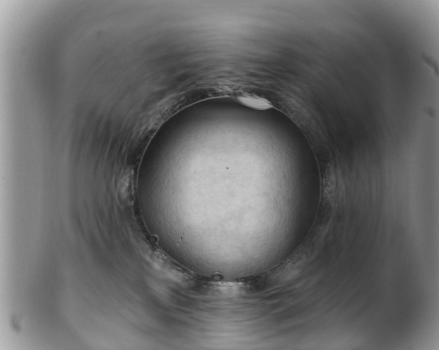 X0000102280233200808011457