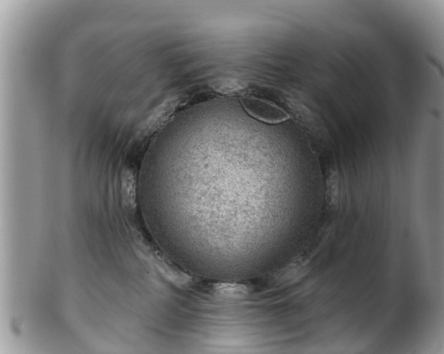 X0000102280234200808011457