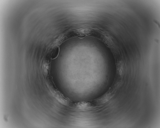 X0000102280235200808011457