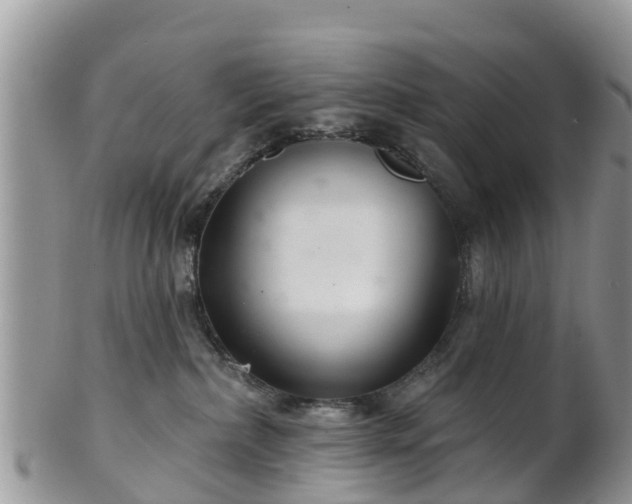 X0000102280236200808011457