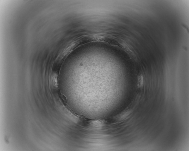 X0000102280238200808011457