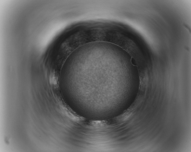 X0000102280239200808011457