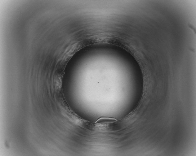 X0000102280240200808011457