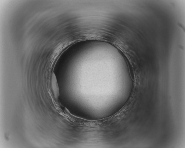 X0000102280241200808011457