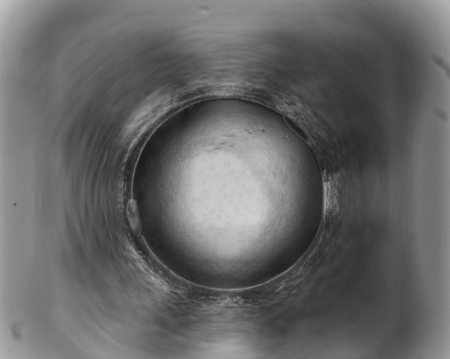 X0000102280243200808011457