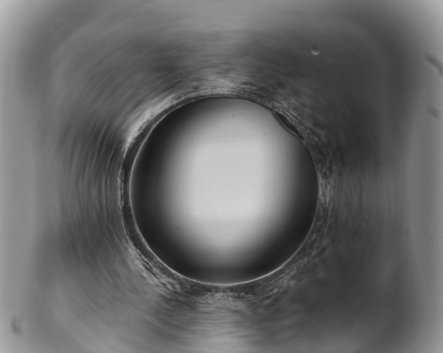 X0000102280244200808011457