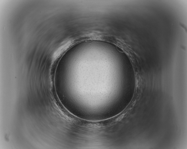 X0000102280245200808011457