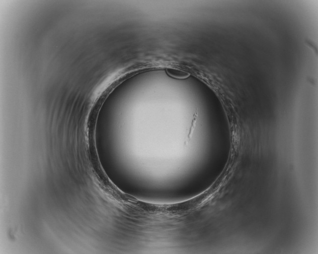 X0000102280246200808011457