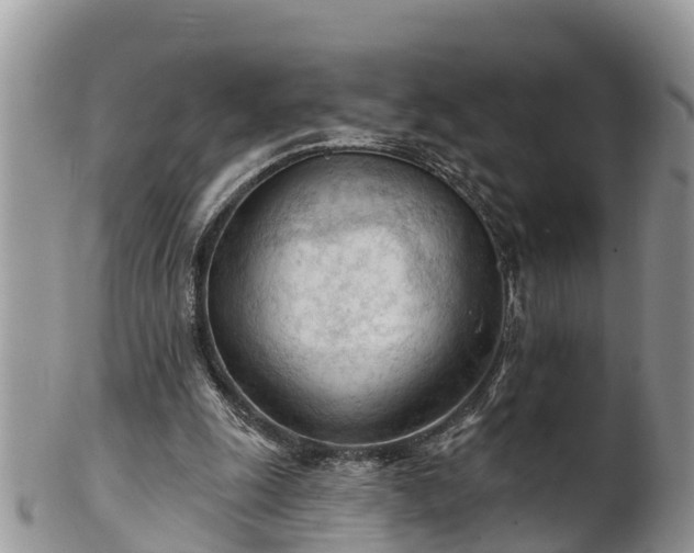 X0000102280247200808011457