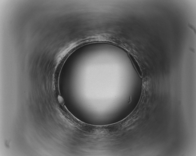 X0000102280248200808011457