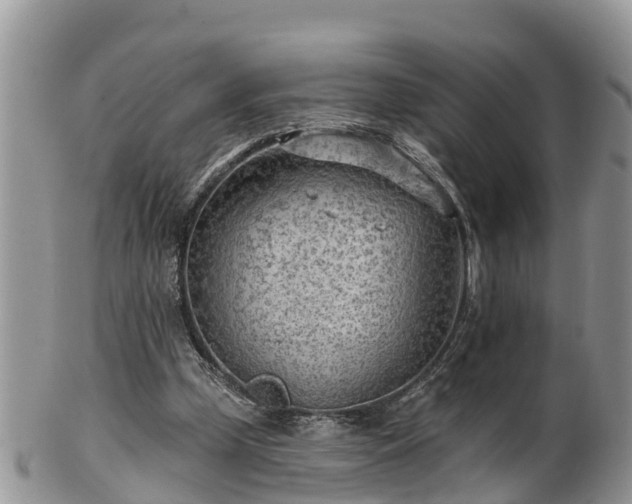 X0000102280249200808011457