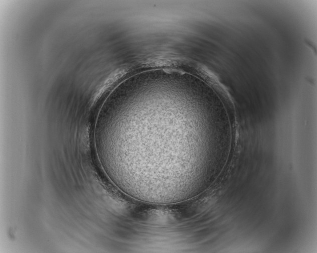 X0000102280250200808011457