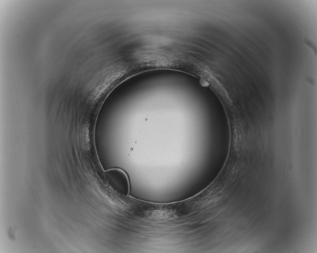 X0000102280251200808011457