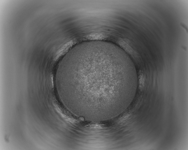 X0000102280254200808011457