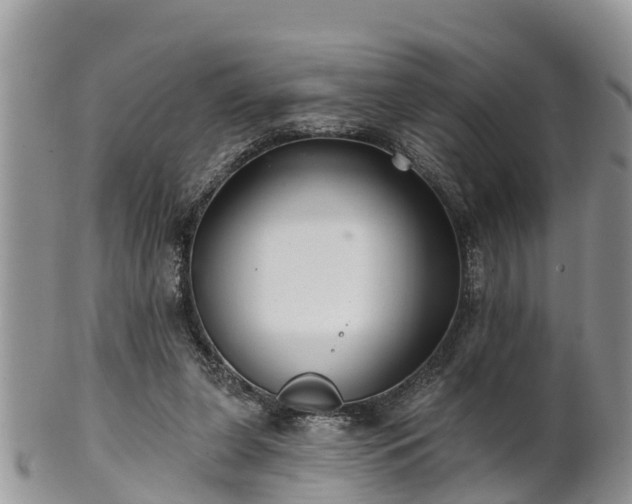 X0000102280255200808011457