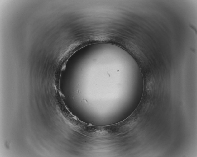 X0000102280256200808011457