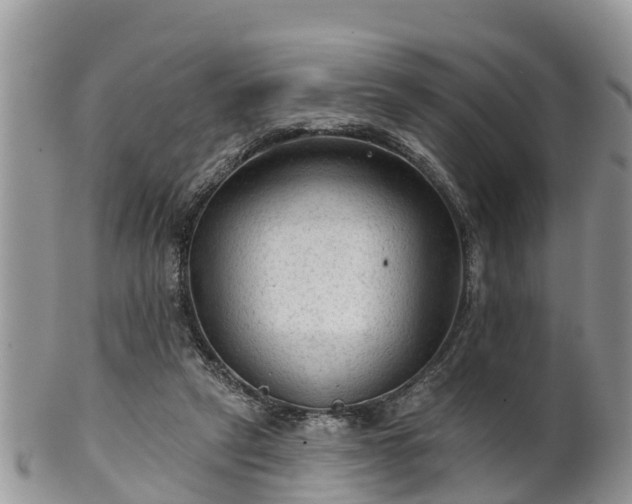 X0000102280257200808011457