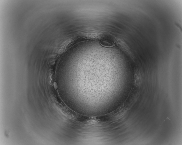 X0000102280259200808011457