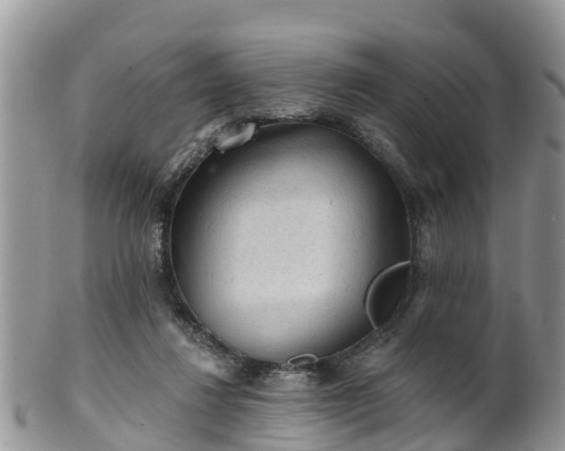 X0000102280260200808011457