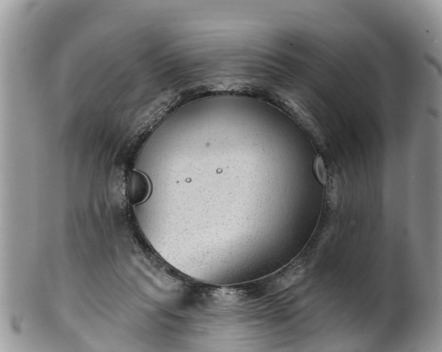 X0000102280261200808011457