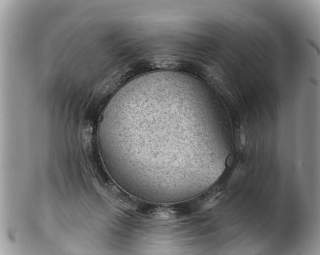 X0000102280263200808011457