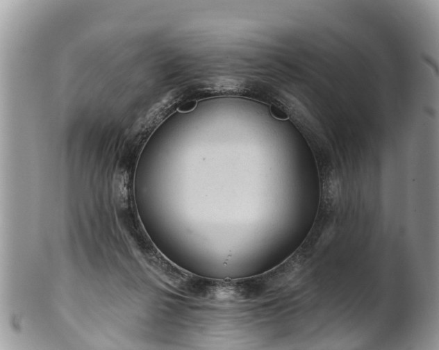 X0000102280264200808011457