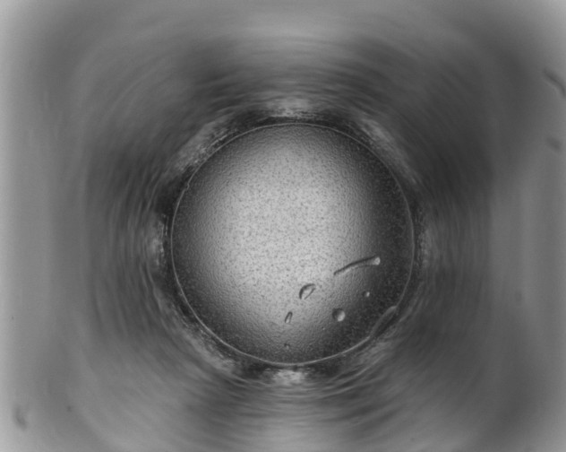 X0000102280265200808011457