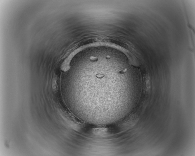 X0000102280266200808011457