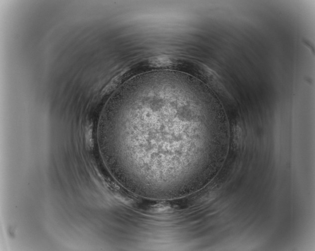 X0000102280267200808011457