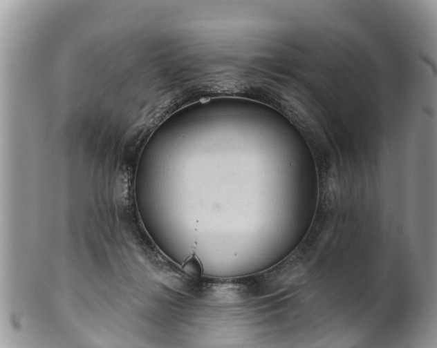 X0000102280268200808011457