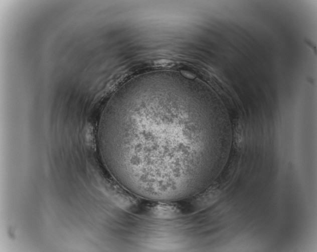 X0000102280270200808011457