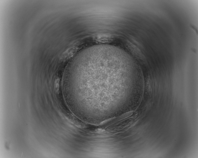 X0000102280271200808011457