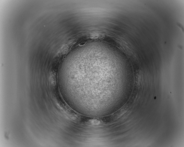 X0000102280272200808011457