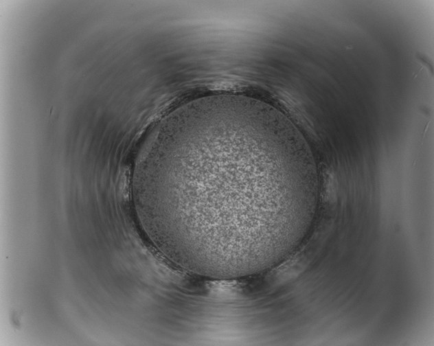 X0000102280273200808011457