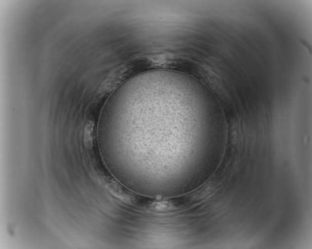 X0000102280275200808011457