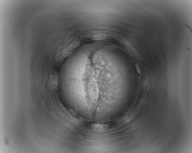 X0000102280277200808011457