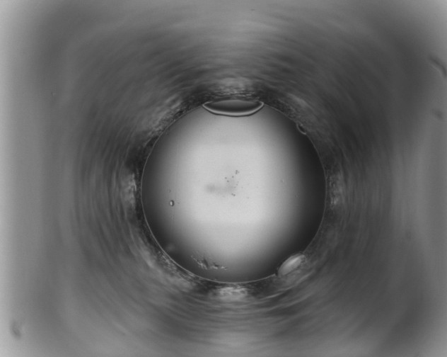 X0000102280279200808011457