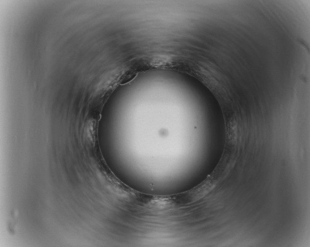 X0000102280280200808011457