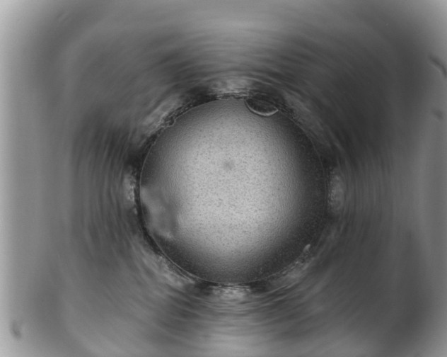 X0000102280282200808011457