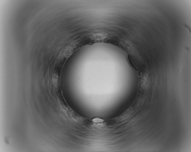 X0000102280283200808011457